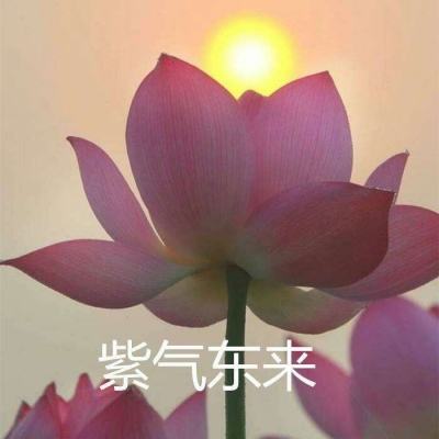 真龙战魂复古版变态版下载